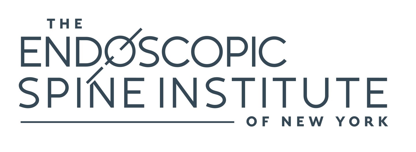 Endoscopic Spine Institute of New York